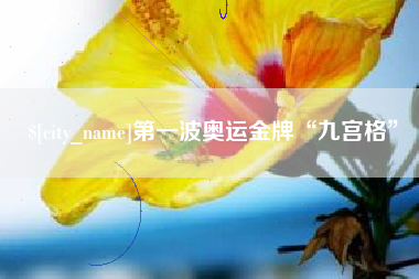 衡东第一波奥运金牌“九宫格”