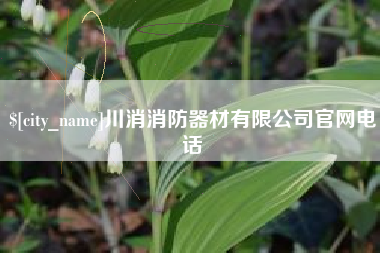 衡东川消消防器材有限公司官网电话