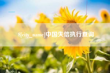 衡东中国失信执行查询