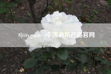 衡东中国消防产品官网