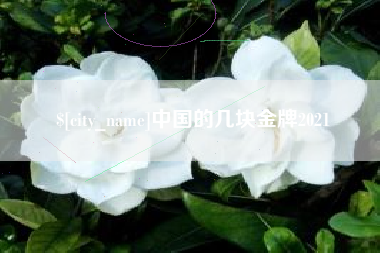 衡东中国的几块金牌2021