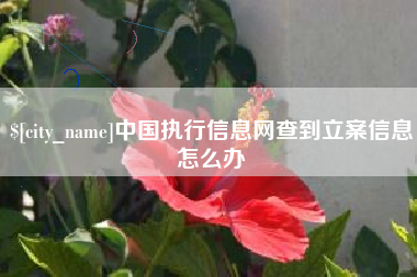 衡东中国执行信息网查到立案信息怎么办