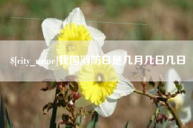 衡东我国消防日是几月几日几日