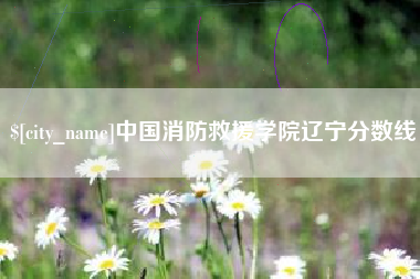 衡东中国消防救援学院辽宁分数线
