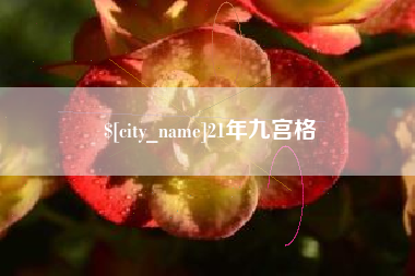 衡东21年九宫格