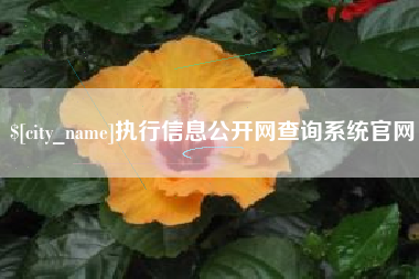 衡东执行信息公开网查询系统官网