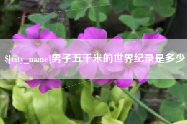 衡东男子五千米的世界纪录是多少