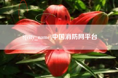 衡东中国消防网平台