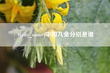 衡东中国九金分别是谁