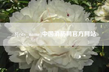 衡东中国消防网官方网站