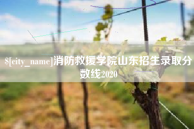衡东消防救援学院山东招生录取分数线2020