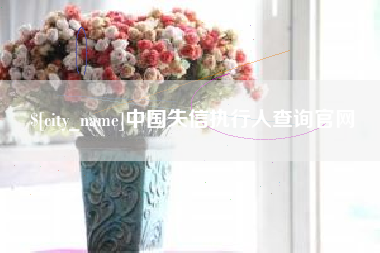 衡东中国失信执行人查询官网