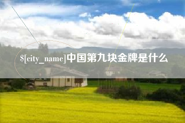 衡东中国第九块金牌是什么