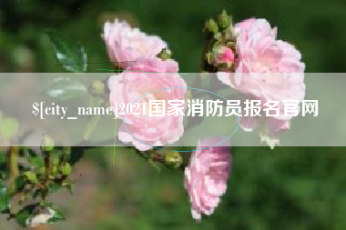 衡东2021国家消防员报名官网