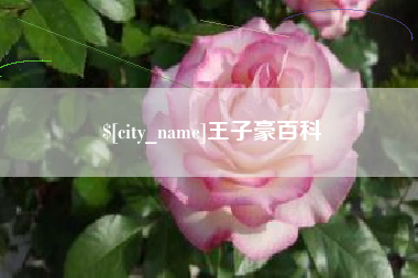 衡东王子豪百科