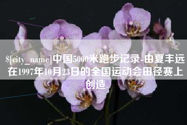 衡东中国5000米跑步记录-由夏丰远在1997年10月23日的全国运动会田径赛上创造