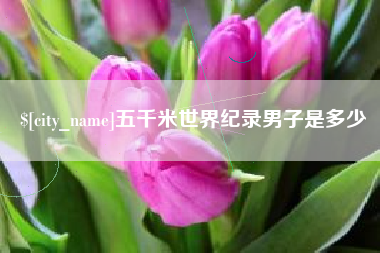 衡东五千米世界纪录男子是多少