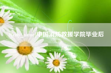 衡东中国消防救援学院毕业后