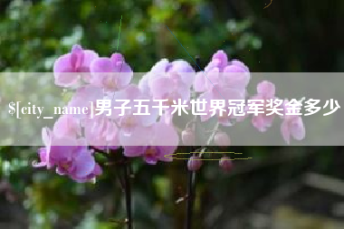 衡东男子五千米世界冠军奖金多少