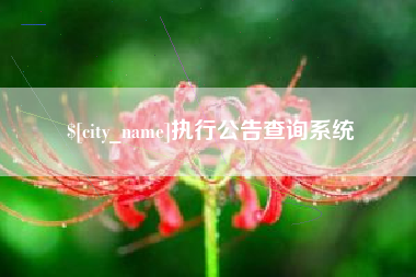 衡东执行公告查询系统