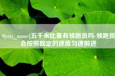 衡东五千米比赛有领跑员吗-领跑员会按照既定的速度匀速前进