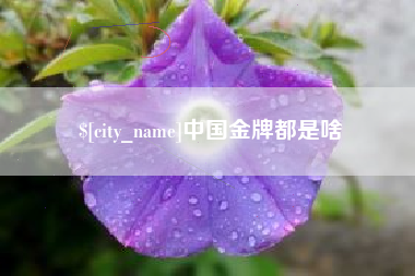衡东中国金牌都是啥