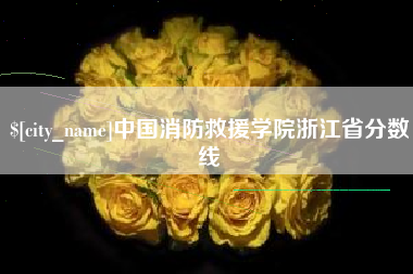 衡东中国消防救援学院浙江省分数线