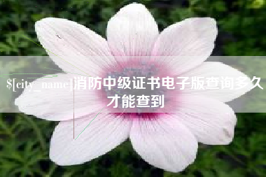 衡东消防中级证书电子版查询多久才能查到