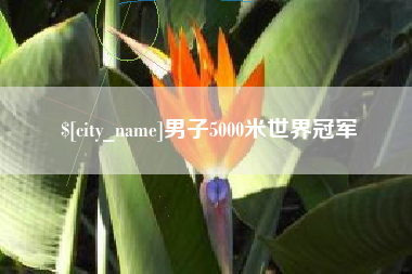 衡东男子5000米世界冠军