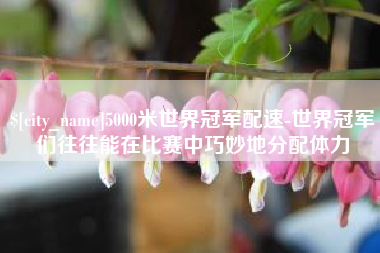 衡东5000米世界冠军配速-世界冠军们往往能在比赛中巧妙地分配体力