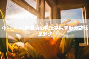 衡东中国消防救援学院录取分数线是多少
