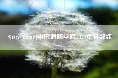 衡东中国消防学院2024年分数线