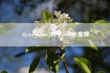 衡东男子5000米金牌