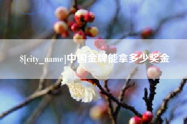 衡东中国金牌能拿多少奖金
