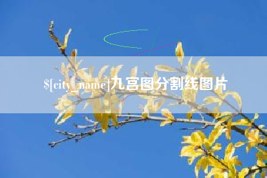 衡东九宫图分割线图片