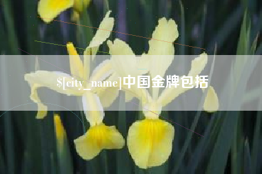 衡东中国金牌包括