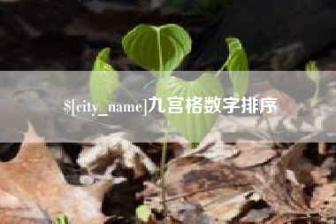 衡东九宫格数字排序