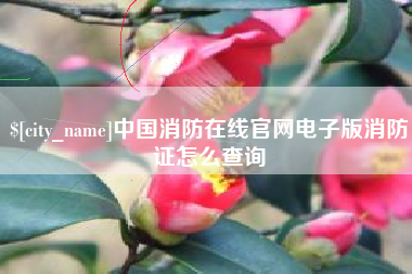 衡东中国消防在线官网电子版消防证怎么查询
