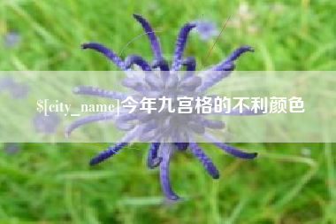 衡东今年九宫格的不利颜色