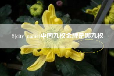 衡东中国九枚金牌是哪九枚