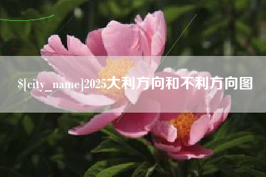 衡东2025大利方向和不利方向图