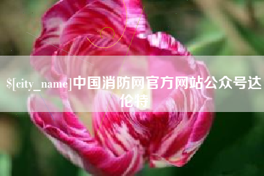 衡东中国消防网官方网站公众号达伦特
