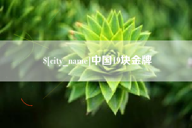 衡东中国19块金牌