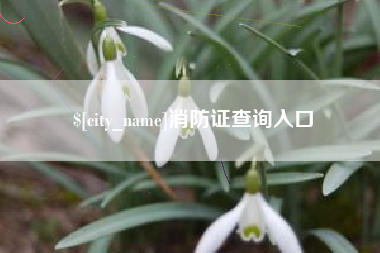 衡东消防证查询入口