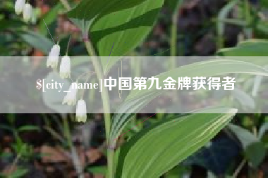 衡东中国第九金牌获得者