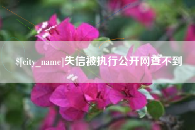 衡东失信被执行公开网查不到
