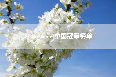 衡东中国冠军榜单