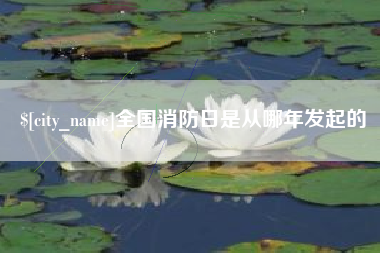 衡东全国消防日是从哪年发起的