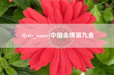 衡东中国金牌第九金