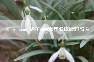 衡东男子5000米年龄成绩对照表